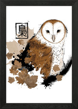 Barn Owl Framed Wall Art