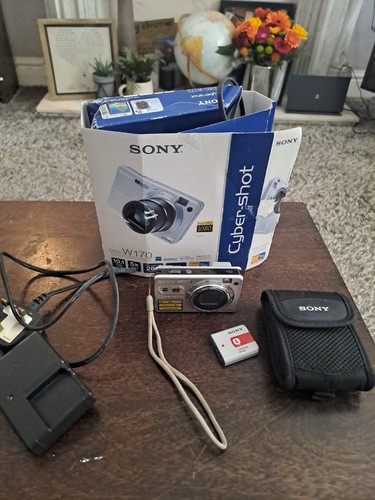 Sony cybershot dsc w170 - dsc-w170, silver