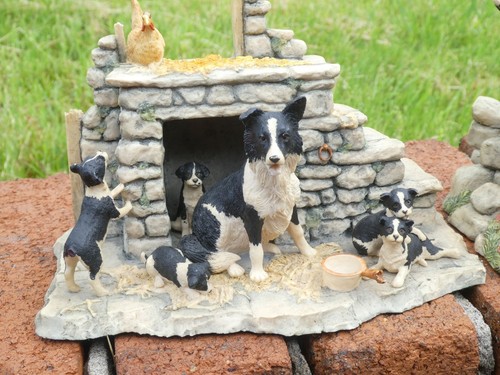 Border fine arts collie - border,