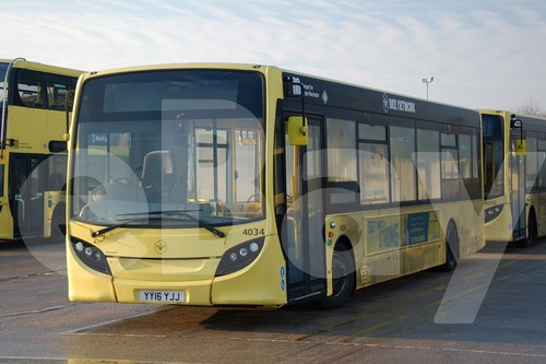 Bus photo bee - photo,