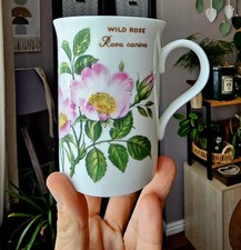 Vintage Crown Trent Fine Bone