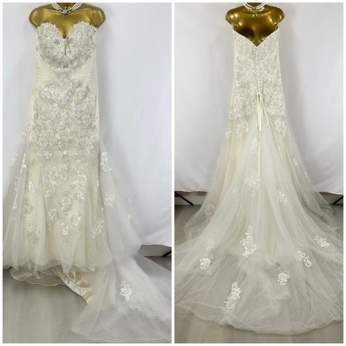 Nwot sophia tolli - nwot,