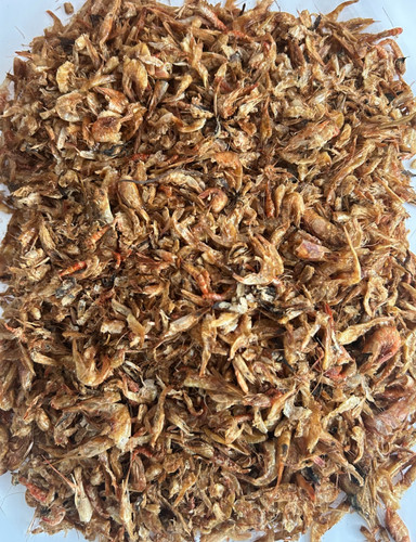 Fresh oron crayfish - fresh, dry