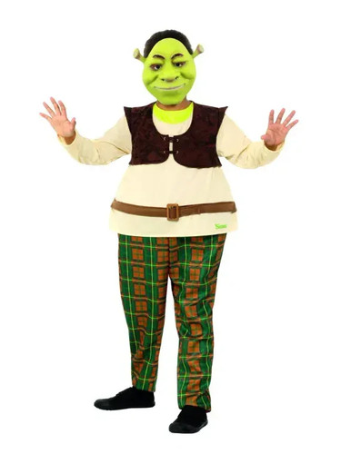 Child shrek costume - shrek,