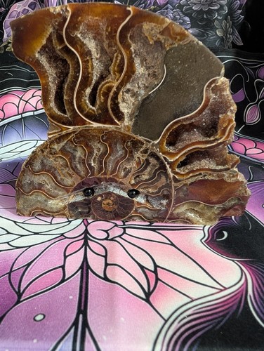 Ammonite crystal carving pet - carving,