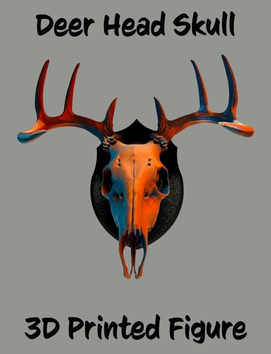 Wall mounted deer head - skull,