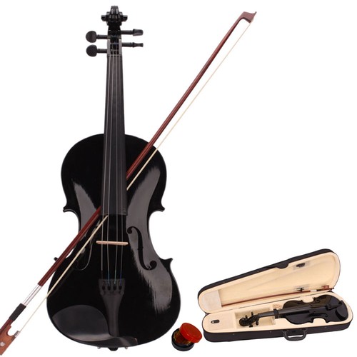 Violin adult acoustic - violin,