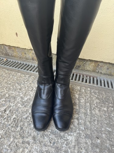 Ariat palisade show womens - ariat,