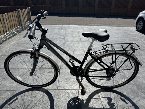 Ladies raleigh pioneer metro - raleigh,