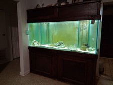 240 Gallon Fish Tank With