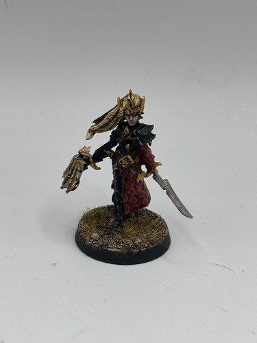 Drukhari archon converted - archon,