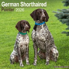 German Shorthaired Pointer 2026 Calendar  Square Wall Calendar  Dog Breed Gift