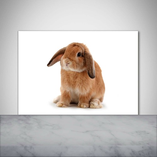 Tulup kitchen glass splashback - kitchen,