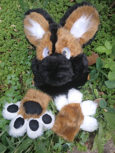 Painted wild dog - painted, fursuit