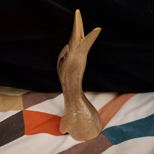 Duck head pie - duck, bird