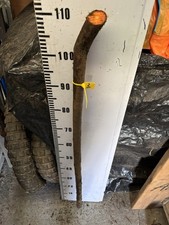 Blackthorn SHANK WALKING STICK