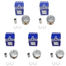 Piston set 81.51 +0.5 oversize