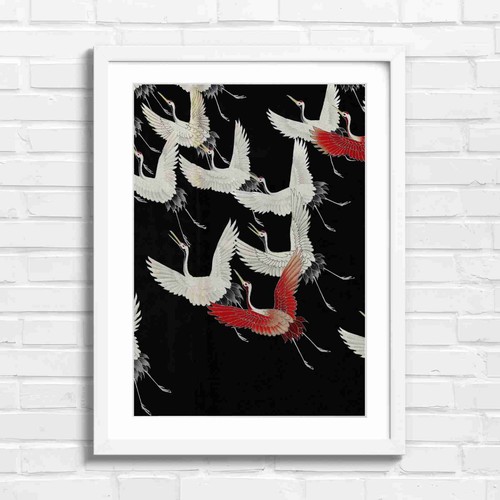 Flying japanese cranes - flying, black