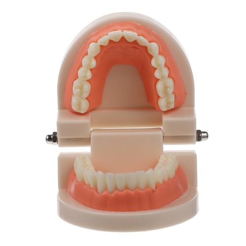 Boy girl tooth - boy,