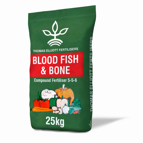Blood fish bone - &,