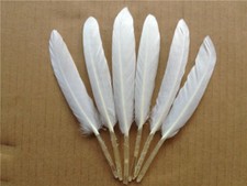 WHITE FEATHERS x 10 SMALL