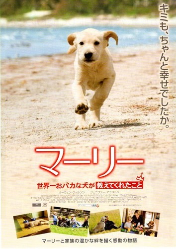 Marley japan movie flyer - me,