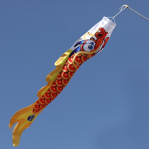 Dragon wind sock garden tent - wind,
