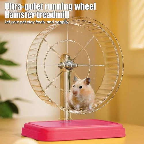 Silent bracket hamster - silent, running