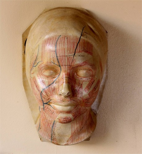 Art deco french - art,