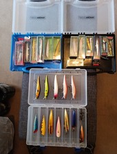 Salmon Sea Trout Spinning