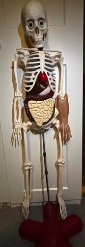Billy bones national - bones,