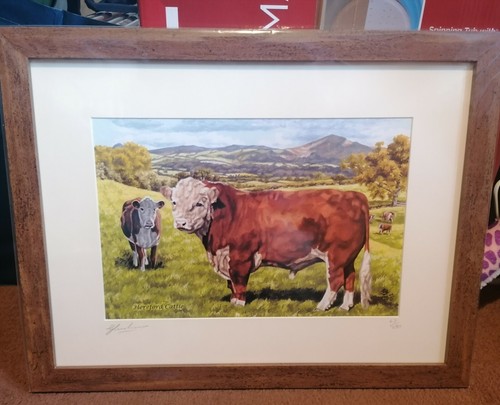 Framed mounted ltd print - mounted,