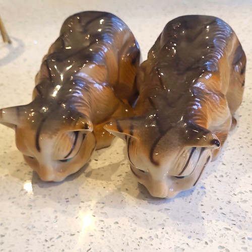 Brown ceramic pottery tabby - 2,