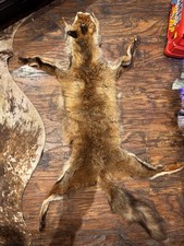 Vintage Genuine Fox Fur Pelt /