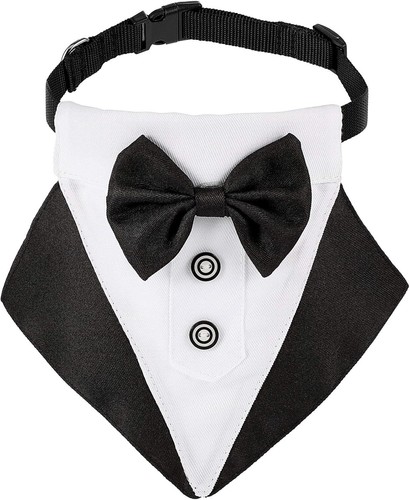 Formal dog tuxedo bandana - tuxedo,