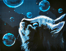 Night Cat & Bubbles - 14 Count