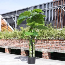 160cm Large Realistic