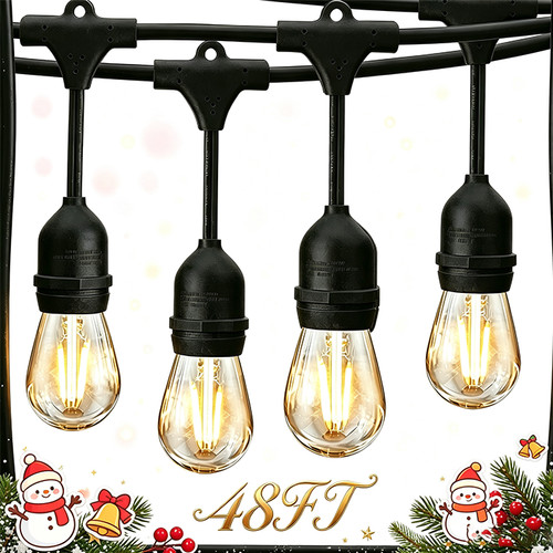48ft festoon ligths - festoon, mains