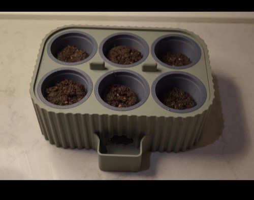 Self watering seed - self,