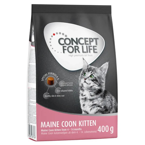 Concept for life maine coon - life,