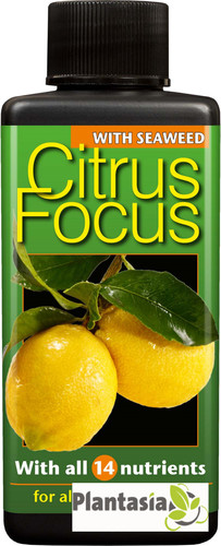 Citrus focus plant food 100ml - ,
