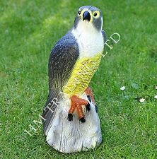 Large Falcon Bird Scarer Garden Pest Deterrent Decoy Bird Repeller Weatherproof