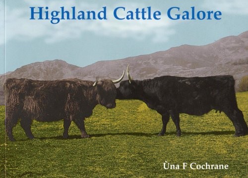Highland cattle galore - cattle,