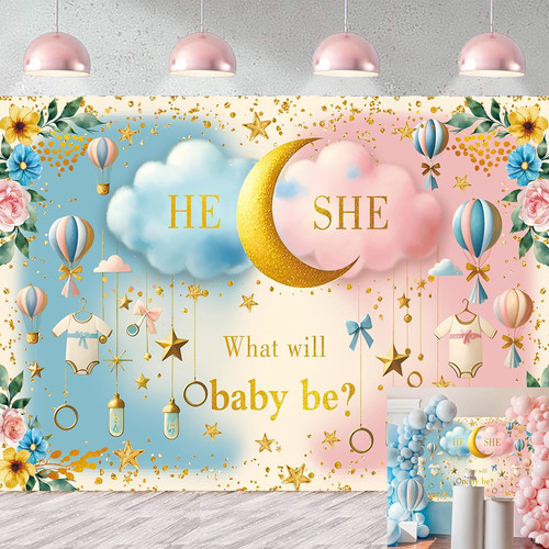 Gender reveal backdrop - backdrop, or