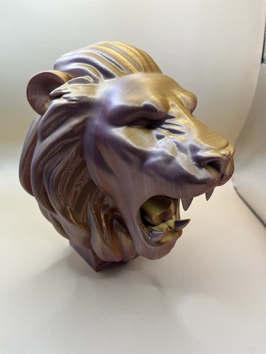 Lion head inlet feature - feature, for