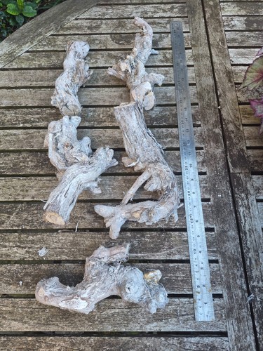 Pieces bleached grape vine - pieces,