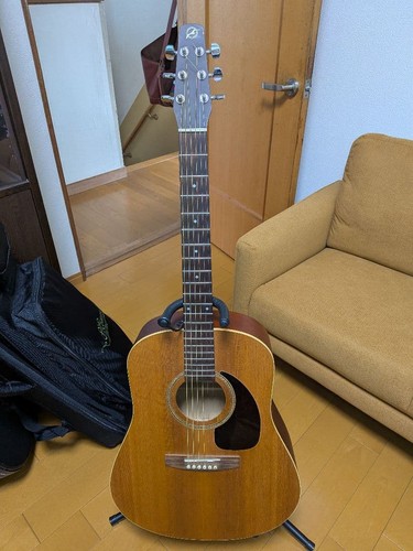Seagull spruce - s6+,