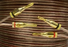 3m of 14 AWG Speaker Cable