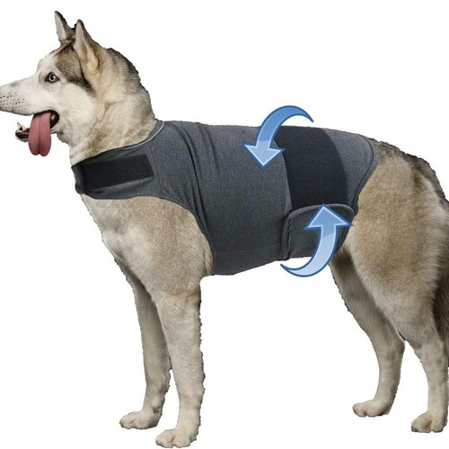 Dog anxiety jacket vest - anxiety,