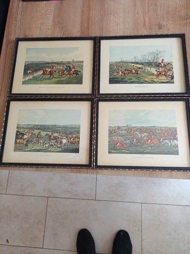 Set four fox - set,